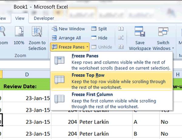 Excel Tutorial - Freeze Window Panes