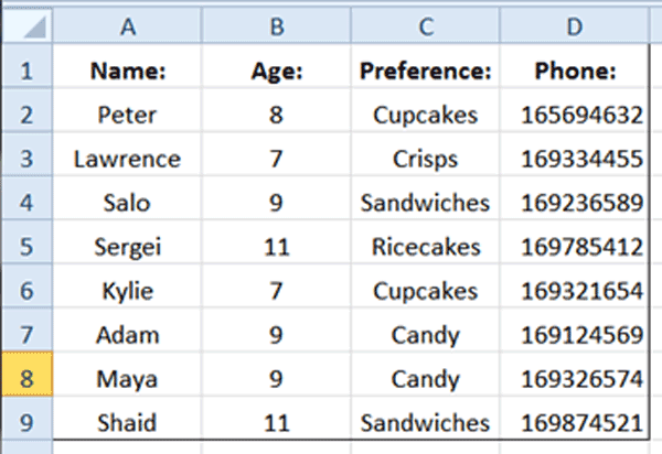 Excel Tutorial - an example of Outside Borders that has been applied to a selected cell range